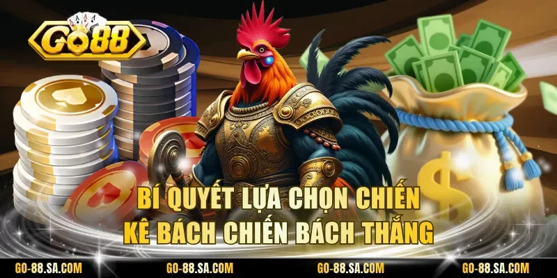 Bí quyết lựa chọn chiến kê bách chiến bách thắng Bí quyết lựa chọn chiến kê bách chiến bách thắng