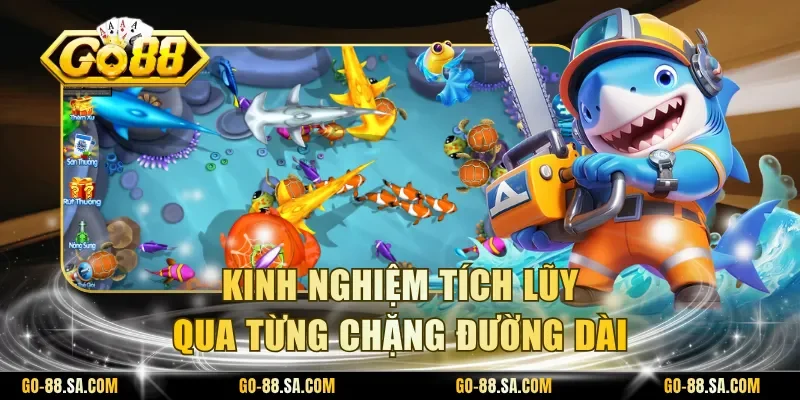 Kinh nghiệm tích lũy qua từng chặng đường dài Kinh nghiệm tích lũy qua từng chặng đường dài